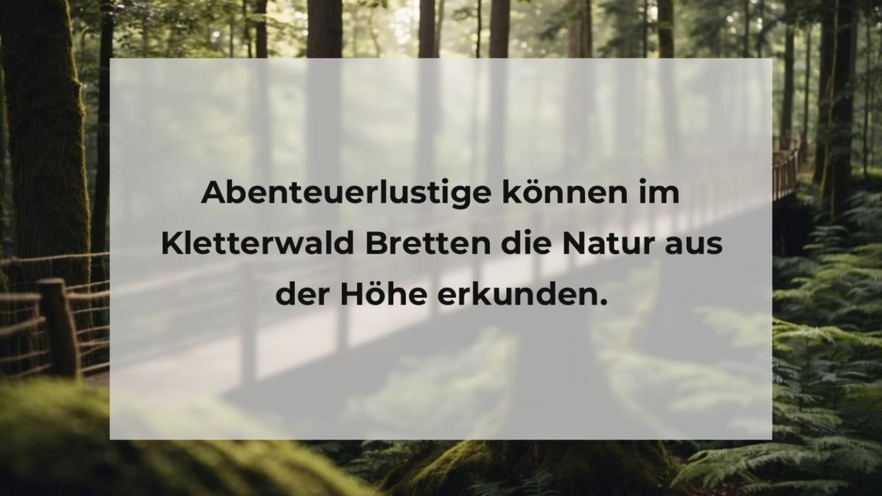 Abenteuerlustige können im Kletterwald Bretten die Natur aus der Höhe erkunden.