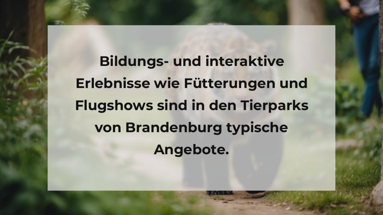 Bildungs- und interaktive Erlebnisse wie Fütterungen und Flugshows sind in den Tierparks von Brandenburg typische Angebote.