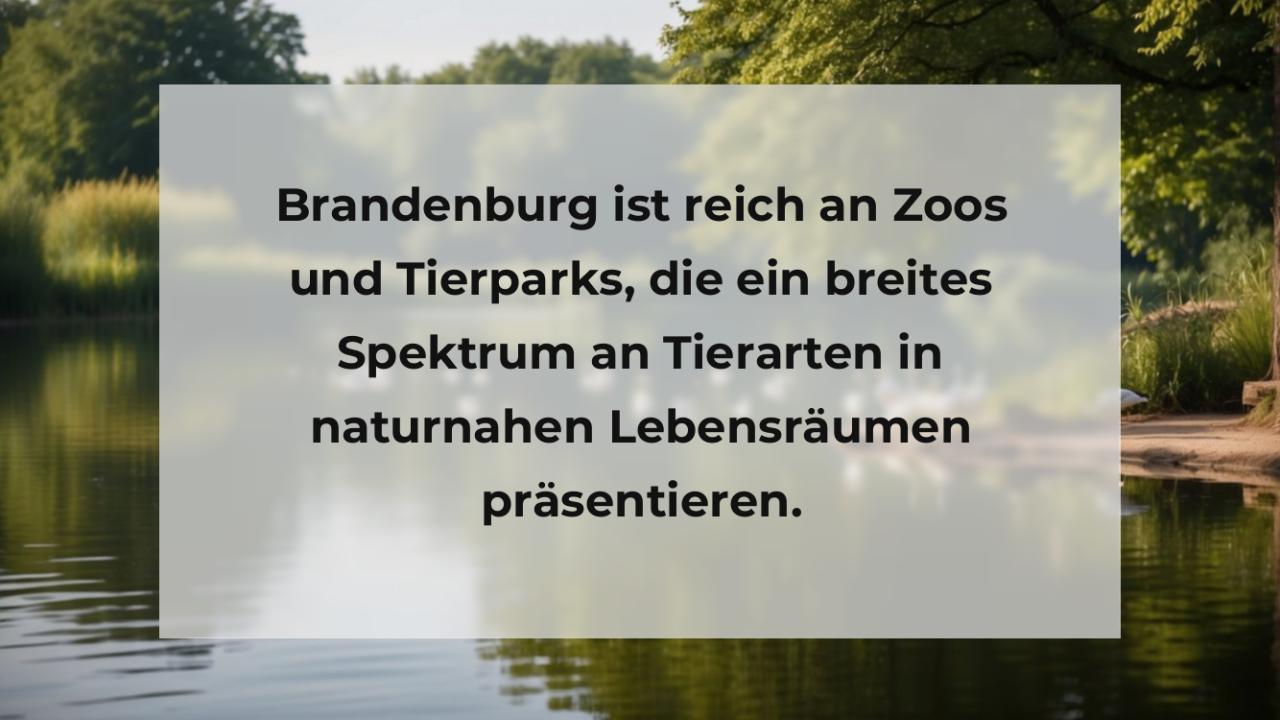 Brandenburg ist reich an Zoos und Tierparks, die ein breites Spektrum an Tierarten in naturnahen Lebensräumen präsentieren.