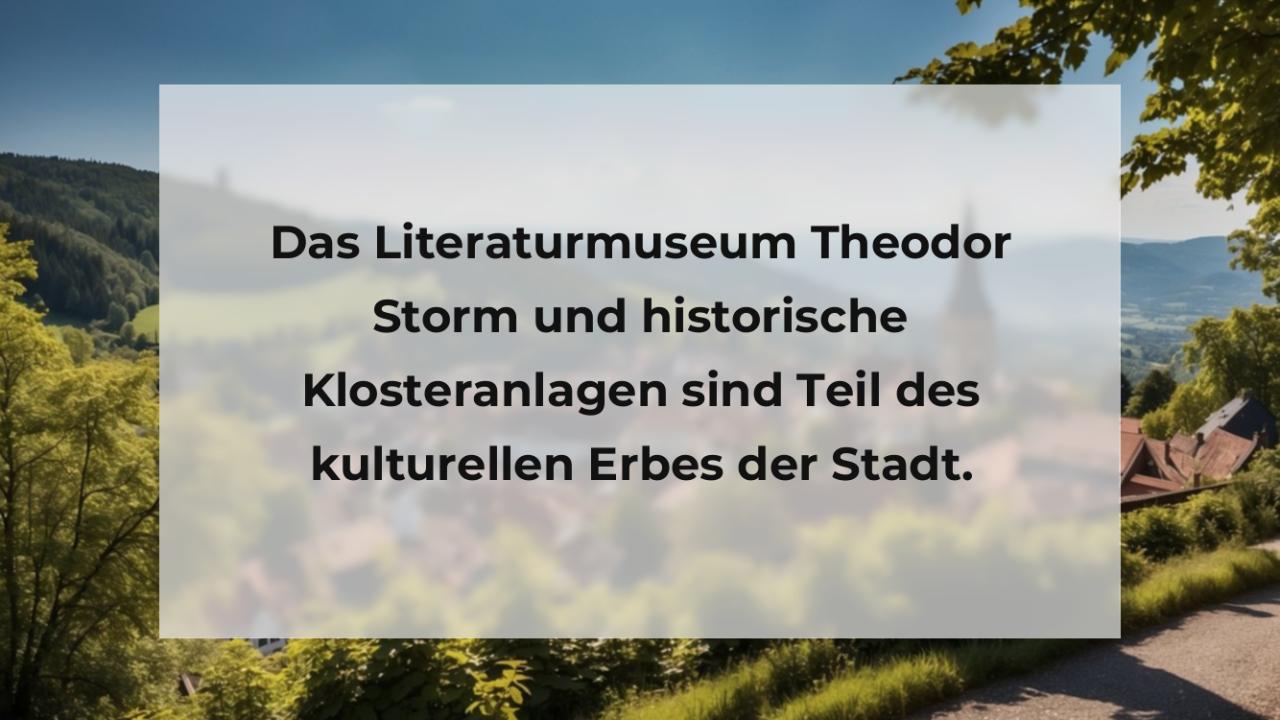 Das Literaturmuseum Theodor Storm und historische Klosteranlagen sind Teil des kulturellen Erbes der Stadt.