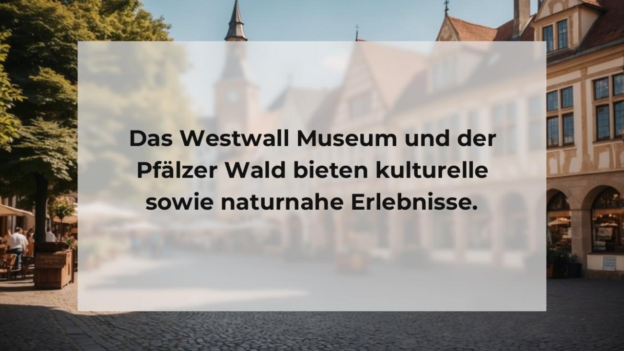 Das Westwall Museum und der Pfälzer Wald bieten kulturelle sowie naturnahe Erlebnisse.