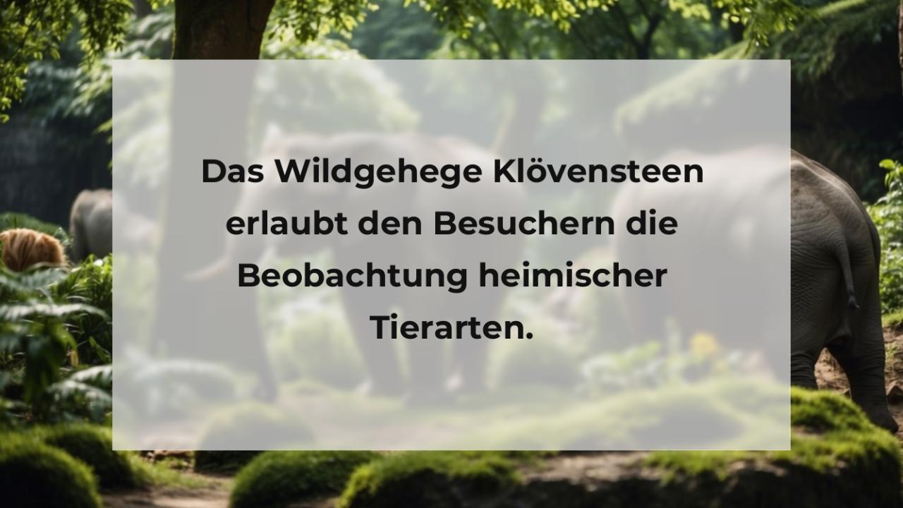 Das Wildgehege Klövensteen erlaubt den Besuchern die Beobachtung heimischer Tierarten.