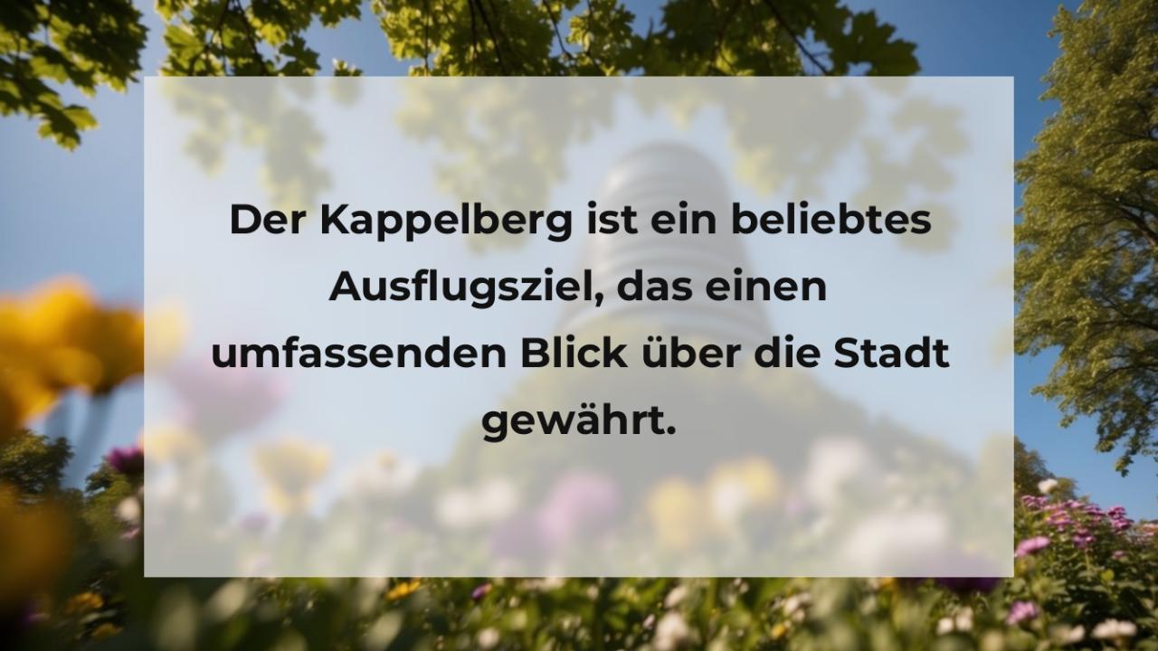 Der Kappelberg ist ein beliebtes Ausflugsziel, das einen umfassenden Blick über die Stadt gewährt.