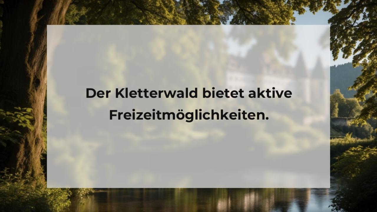 Der Kletterwald bietet aktive Freizeitmöglichkeiten.