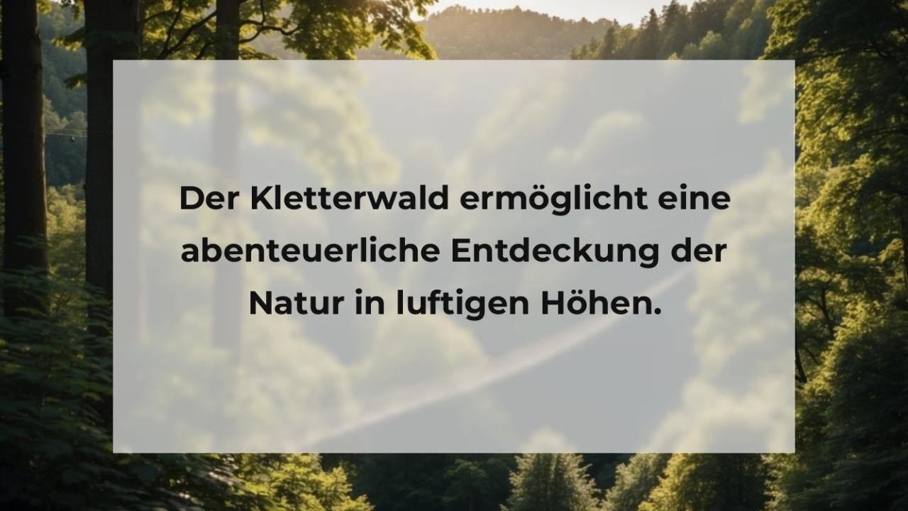 Der Kletterwald ermöglicht eine abenteuerliche Entdeckung der Natur in luftigen Höhen.