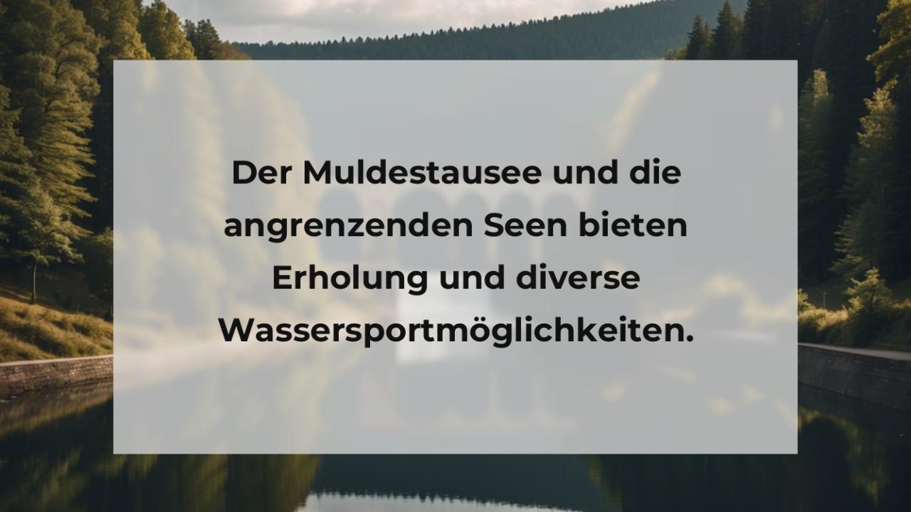 Der Muldestausee und die angrenzenden Seen bieten Erholung und diverse Wassersportmöglichkeiten.