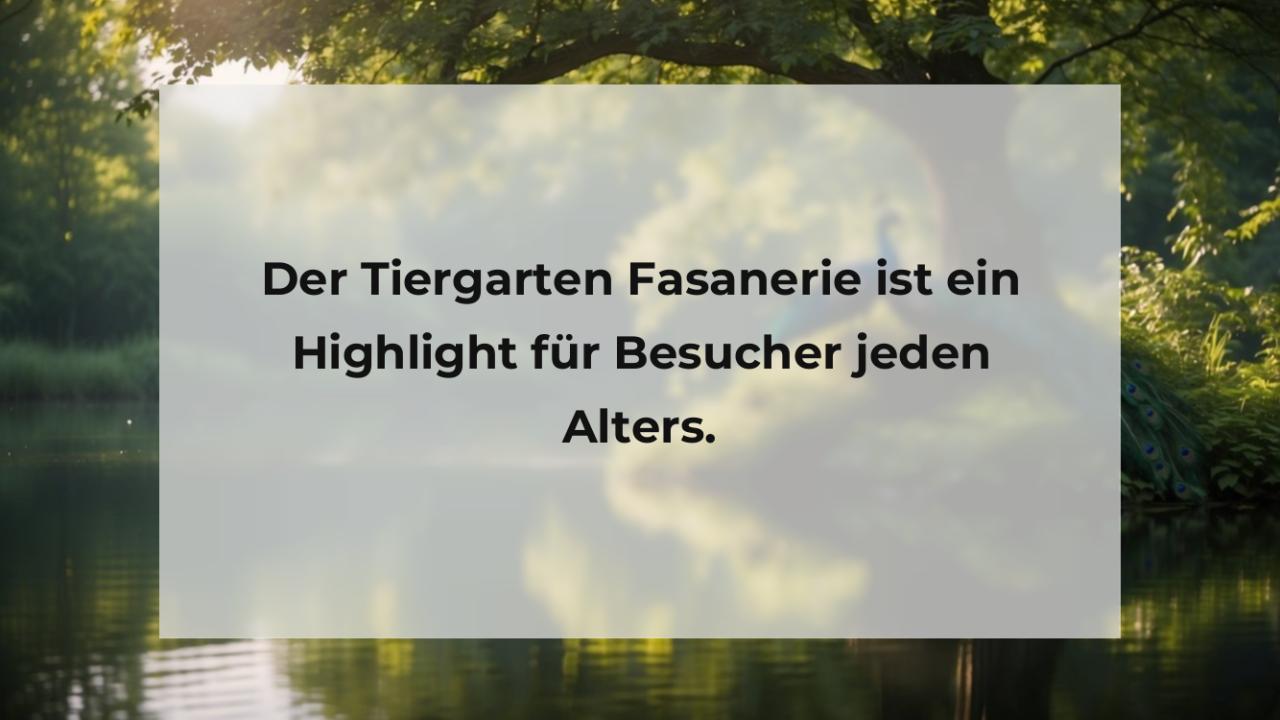 Der Tiergarten Fasanerie ist ein Highlight für Besucher jeden Alters.