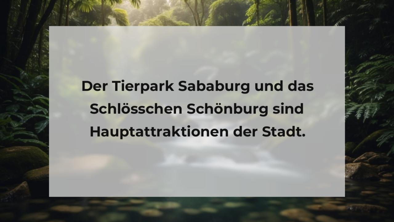 Der Tierpark Sababurg und das Schlösschen Schönburg sind Hauptattraktionen der Stadt.