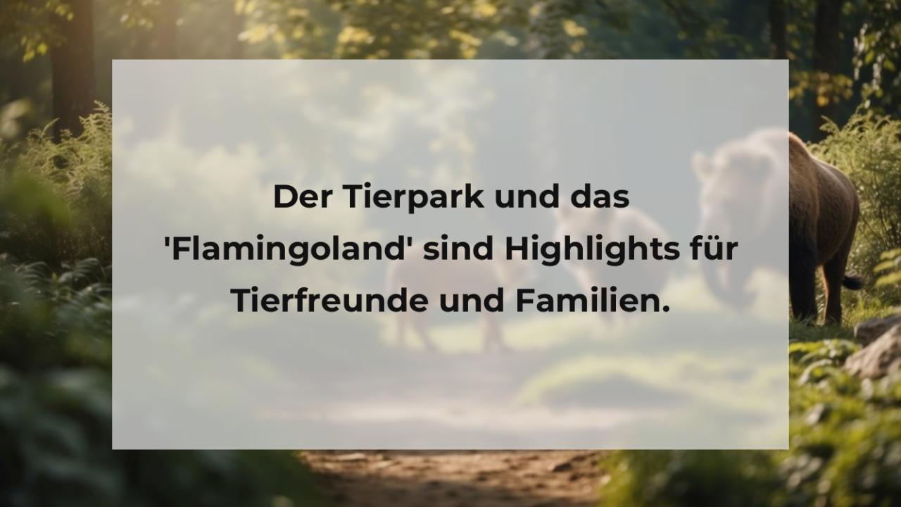 Der Tierpark und das 'Flamingoland' sind Highlights für Tierfreunde und Familien.