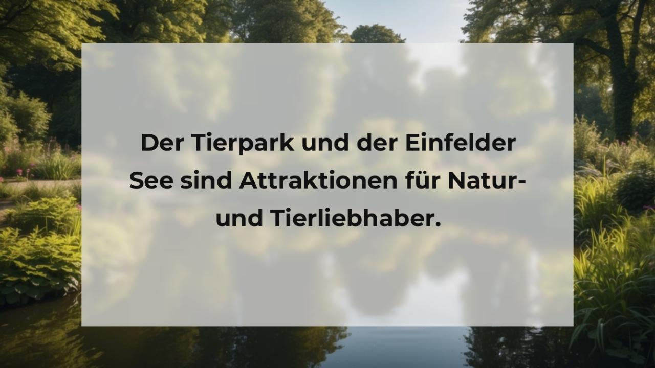 Der Tierpark und der Einfelder See sind Attraktionen für Natur- und Tierliebhaber.