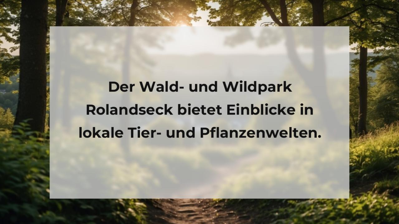 Der Wald- und Wildpark Rolandseck bietet Einblicke in lokale Tier- und Pflanzenwelten.