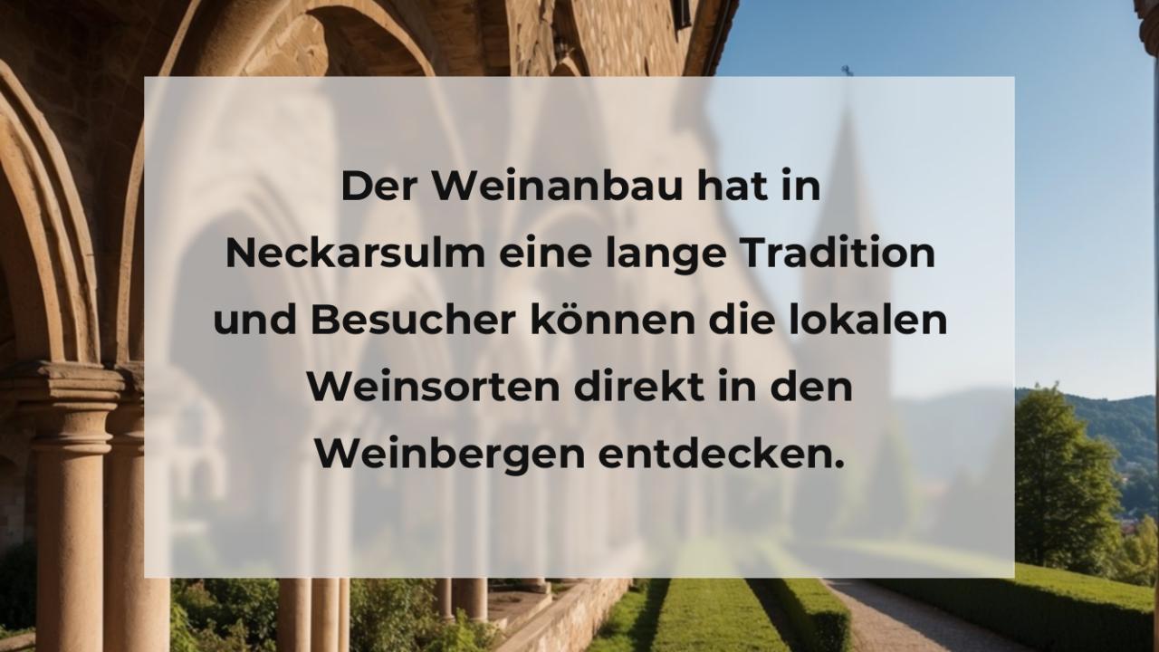 Der Weinanbau hat in Neckarsulm eine lange Tradition und Besucher können die lokalen Weinsorten direkt in den Weinbergen entdecken.