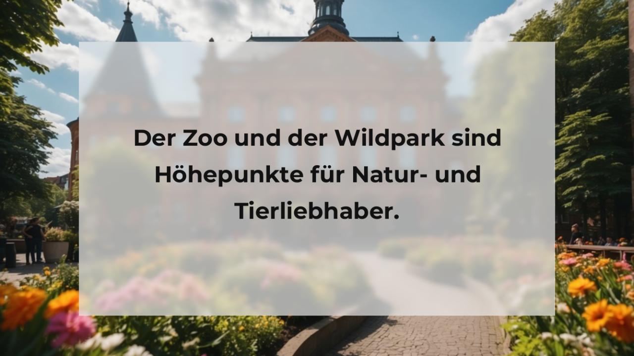 Der Zoo und der Wildpark sind Höhepunkte für Natur- und Tierliebhaber.