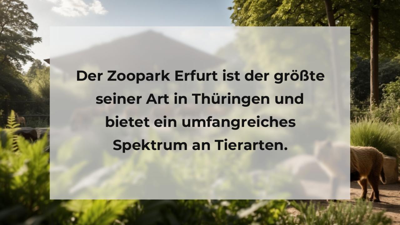 Der Zoopark Erfurt ist der größte seiner Art in Thüringen und bietet ein umfangreiches Spektrum an Tierarten.