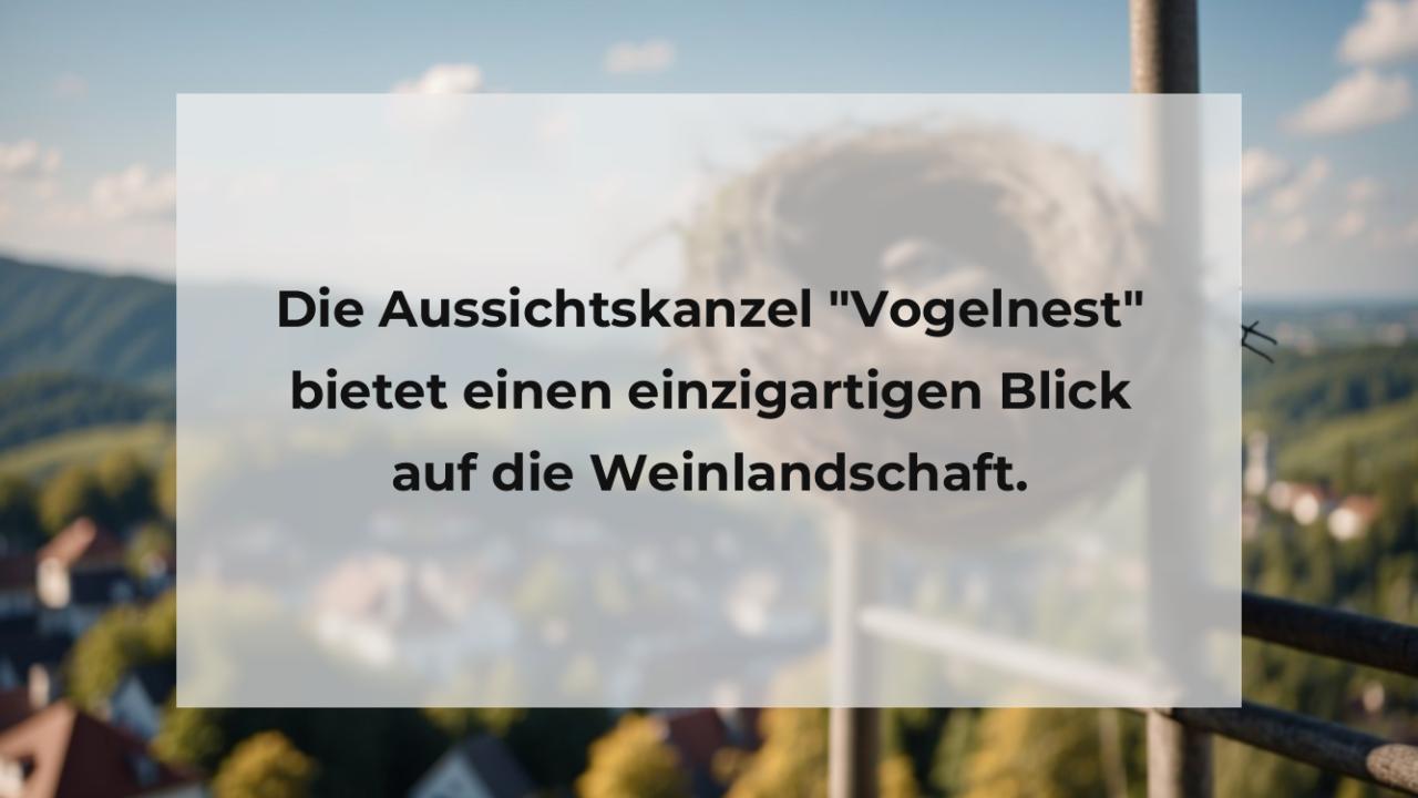 Die Aussichtskanzel "Vogelnest" bietet einen einzigartigen Blick auf die Weinlandschaft.