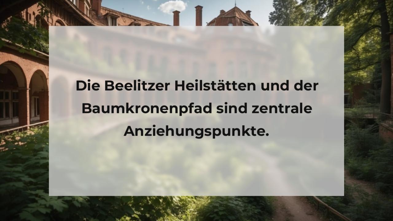 Die Beelitzer Heilstätten und der Baumkronenpfad sind zentrale Anziehungspunkte.