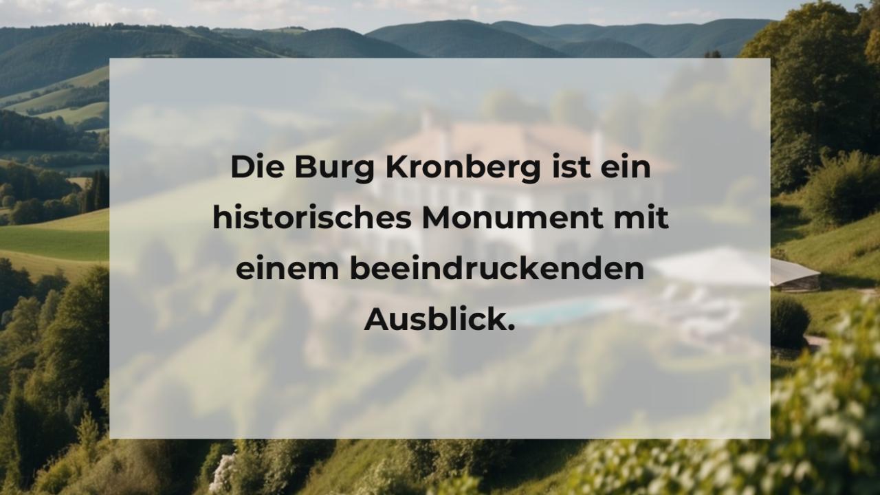 Die Burg Kronberg ist ein historisches Monument mit einem beeindruckenden Ausblick.