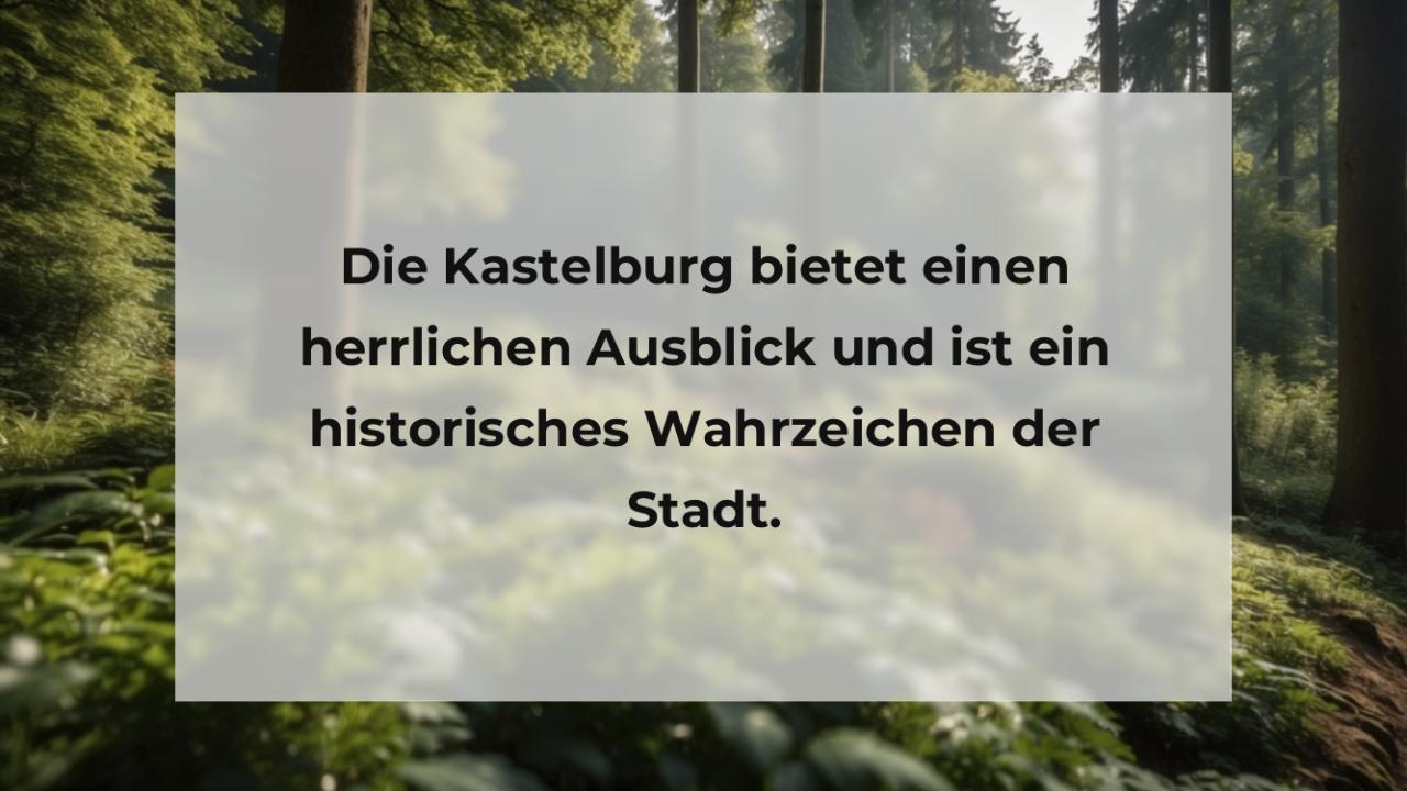 Die Kastelburg bietet einen herrlichen Ausblick und ist ein historisches Wahrzeichen der Stadt.