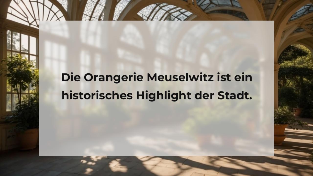 Die Orangerie Meuselwitz ist ein historisches Highlight der Stadt.