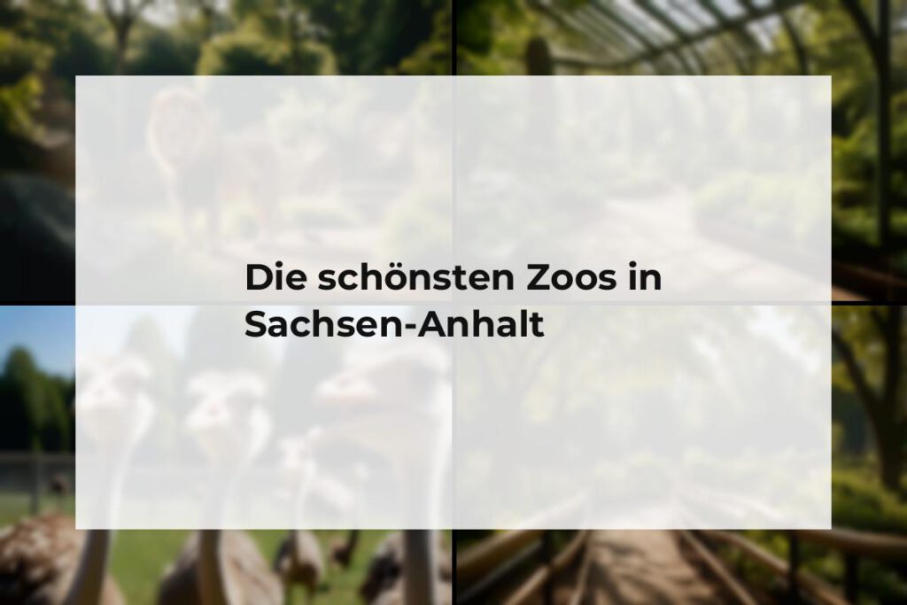 Zoos Sachsen-Anhalt