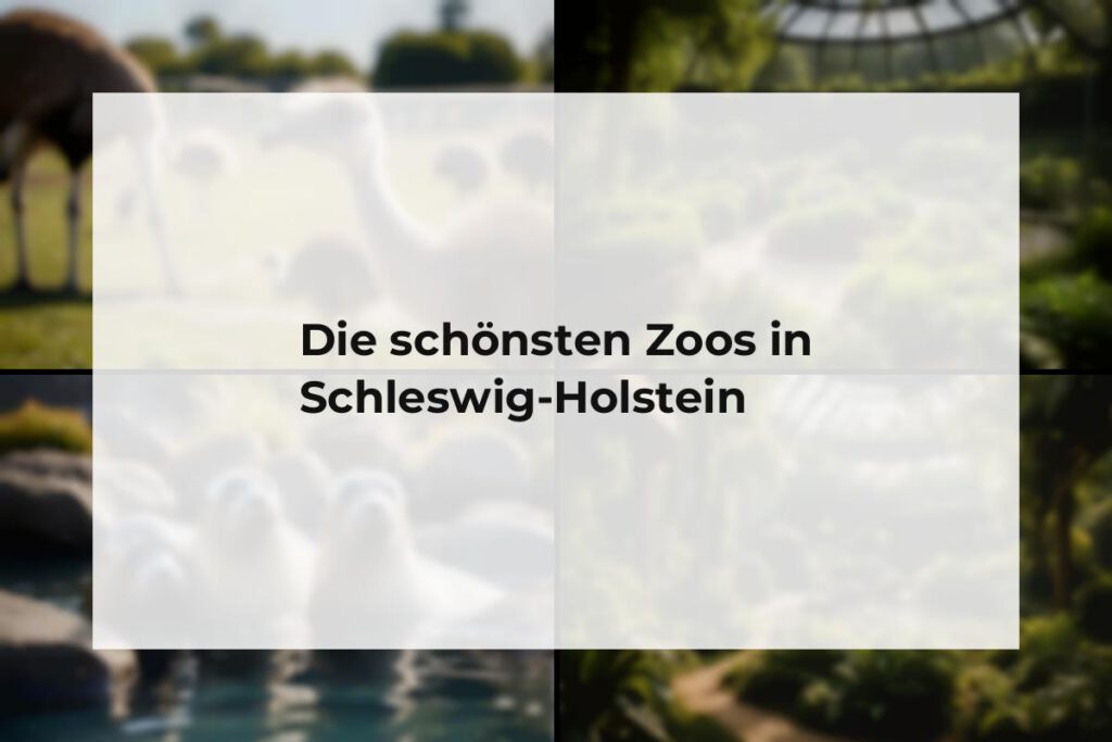 Zoos Schleswig-Holstein