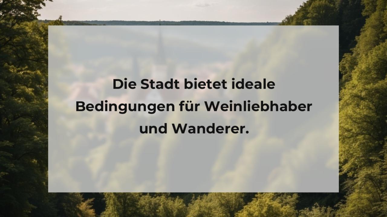 Die Stadt bietet ideale Bedingungen für Weinliebhaber und Wanderer.