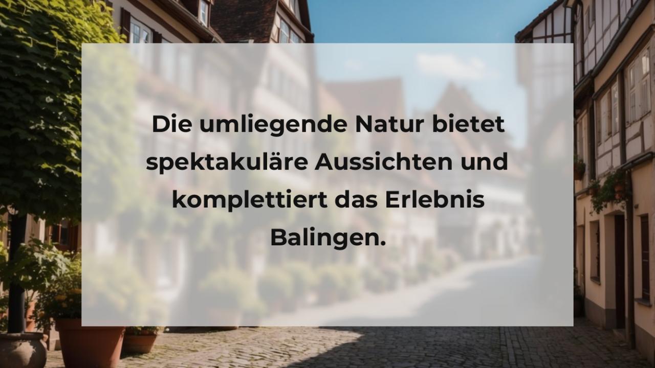 Die umliegende Natur bietet spektakuläre Aussichten und komplettiert das Erlebnis Balingen.