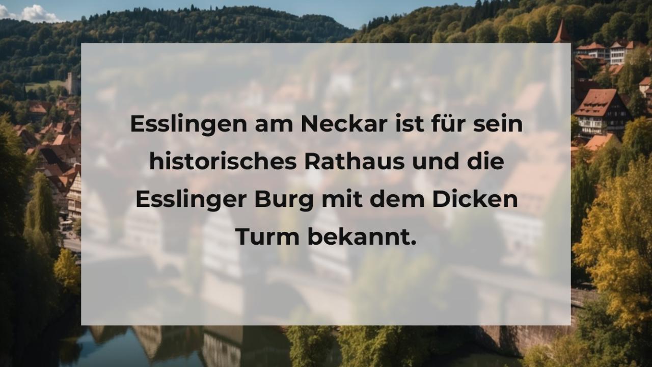 Esslingen am Neckar ist für sein historisches Rathaus und die Esslinger Burg mit dem Dicken Turm bekannt.