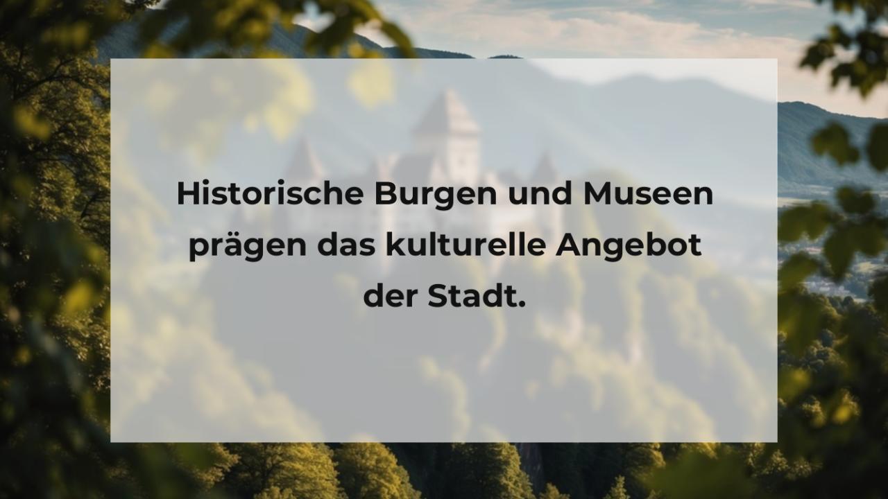 Historische Burgen und Museen prägen das kulturelle Angebot der Stadt.