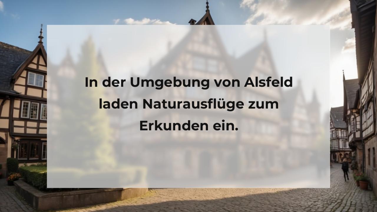 In der Umgebung von Alsfeld laden Naturausflüge zum Erkunden ein.