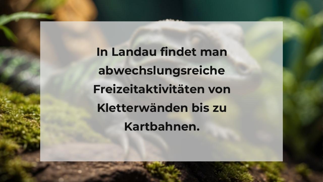 In Landau findet man abwechslungsreiche Freizeitaktivitäten von Kletterwänden bis zu Kartbahnen.