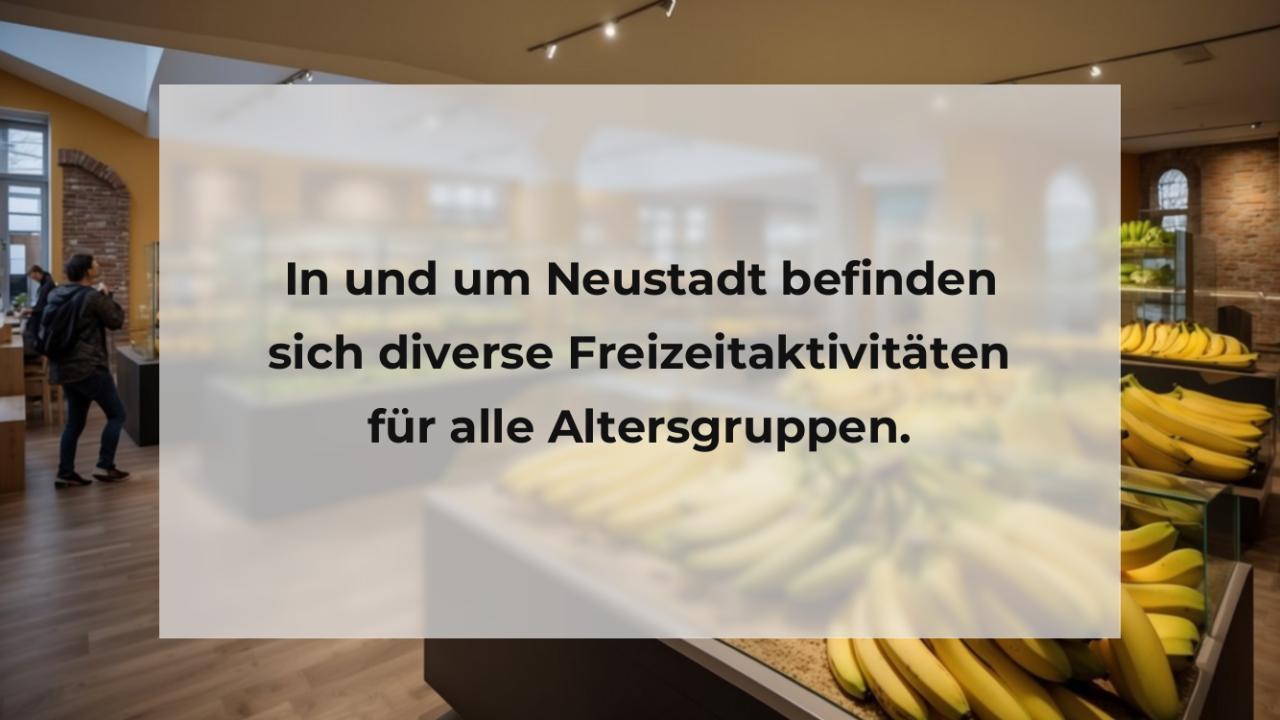 In und um Neustadt befinden sich diverse Freizeitaktivitäten für alle Altersgruppen.