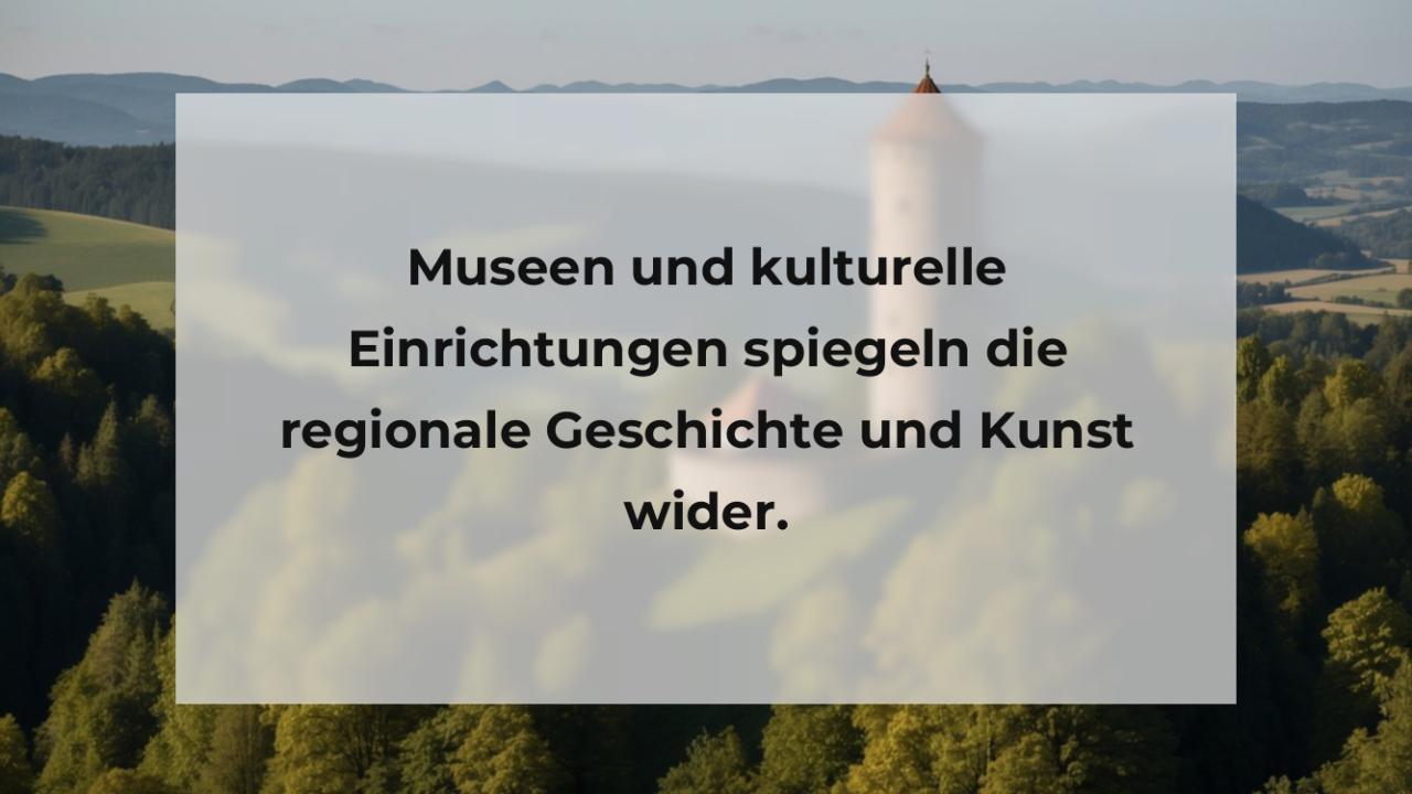 Museen und kulturelle Einrichtungen spiegeln die regionale Geschichte und Kunst wider.