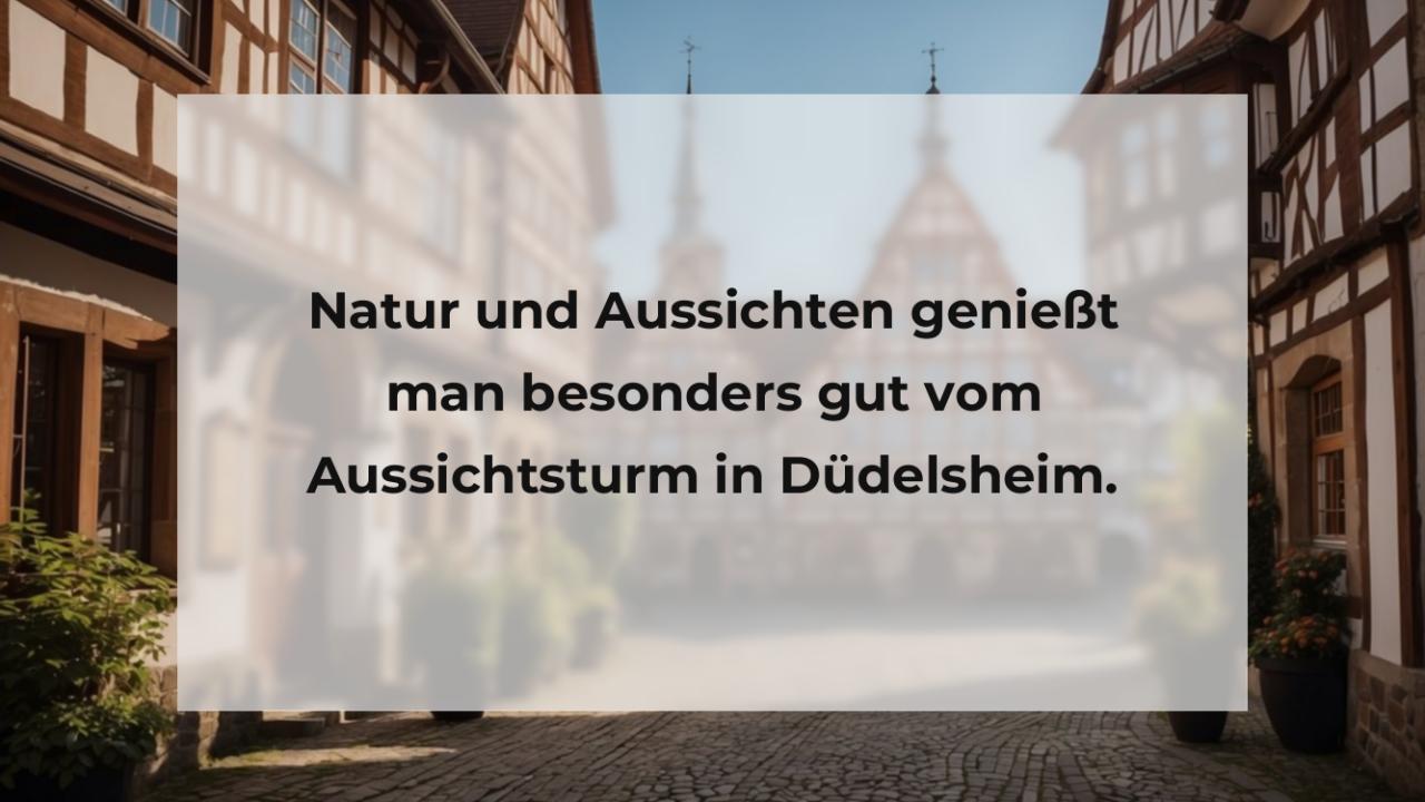 Natur und Aussichten genießt man besonders gut vom Aussichtsturm in Düdelsheim.