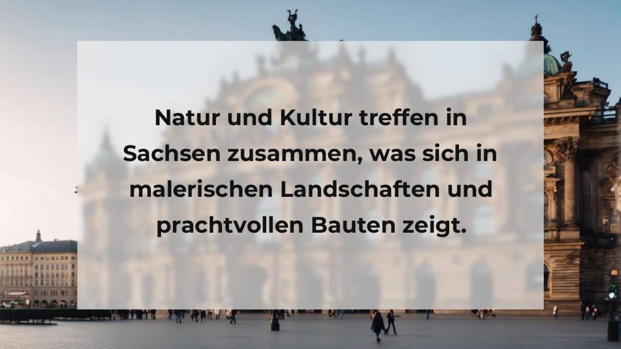 Natur und Kultur treffen in Sachsen zusammen, was sich in malerischen Landschaften und prachtvollen Bauten zeigt.