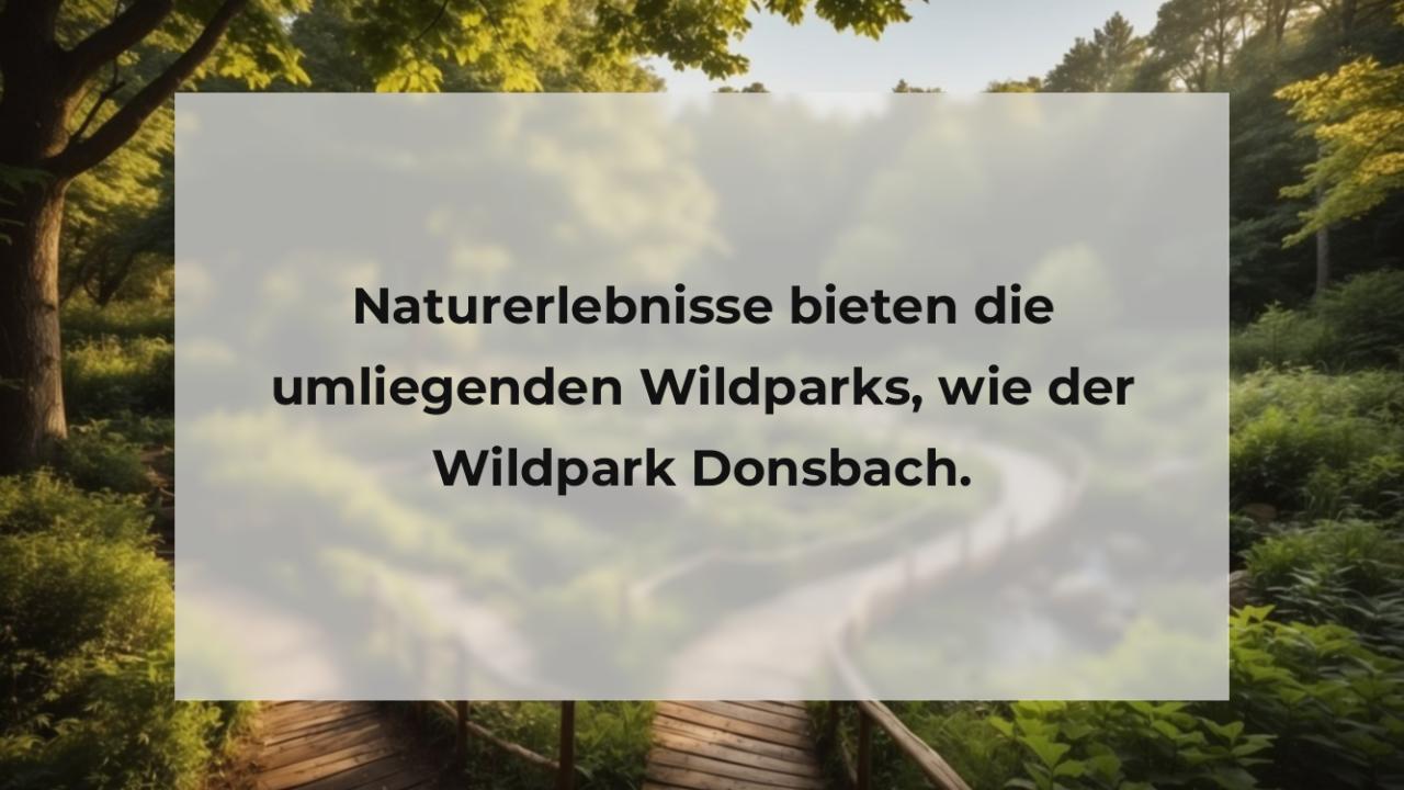 Naturerlebnisse bieten die umliegenden Wildparks, wie der Wildpark Donsbach.