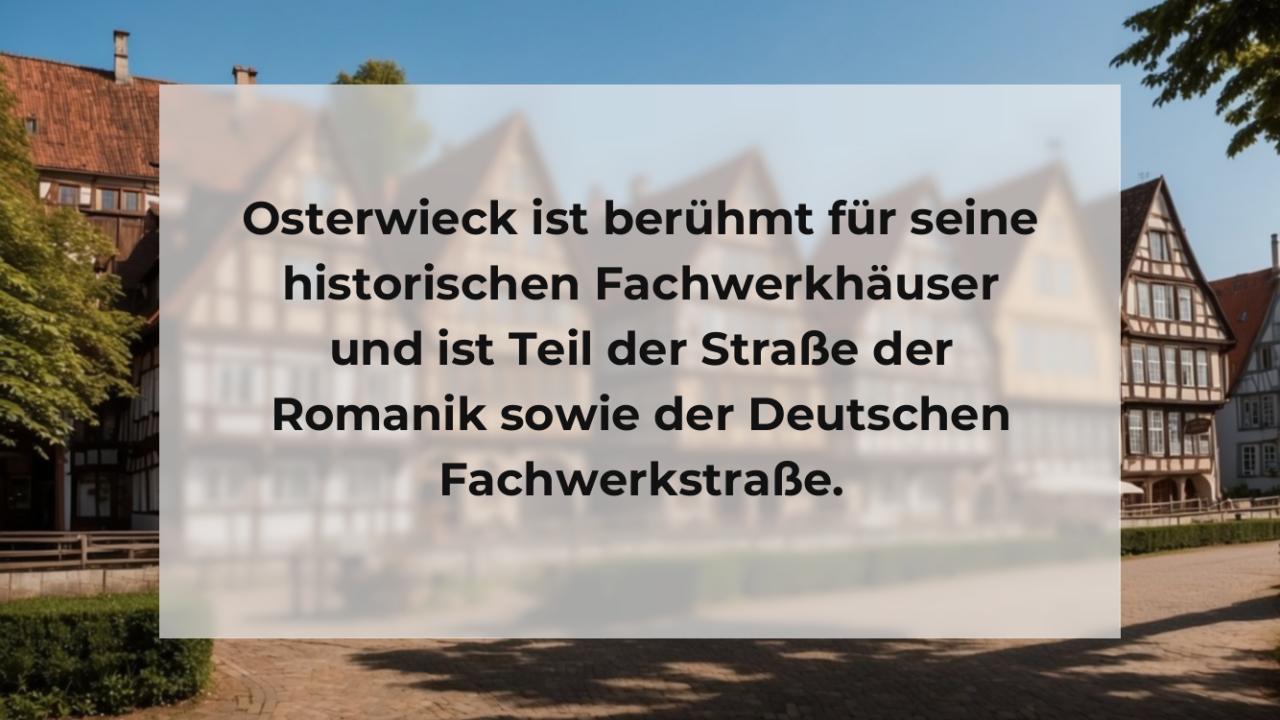 Osterwieck ist berühmt für seine historischen Fachwerkhäuser und ist Teil der Straße der Romanik sowie der Deutschen Fachwerkstraße.