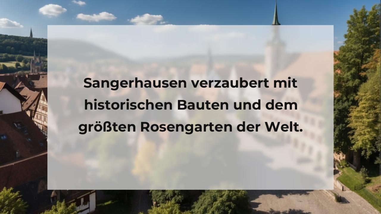 Sangerhausen verzaubert mit historischen Bauten und dem größten Rosengarten der Welt.