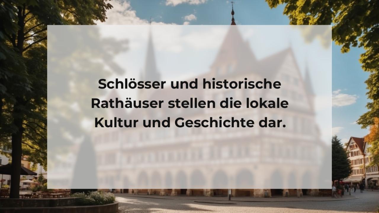 Schlösser und historische Rathäuser stellen die lokale Kultur und Geschichte dar.