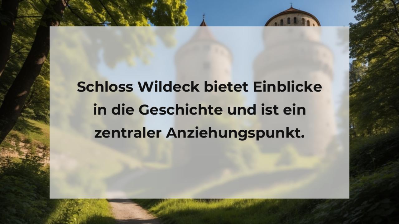 Schloss Wildeck bietet Einblicke in die Geschichte und ist ein zentraler Anziehungspunkt.