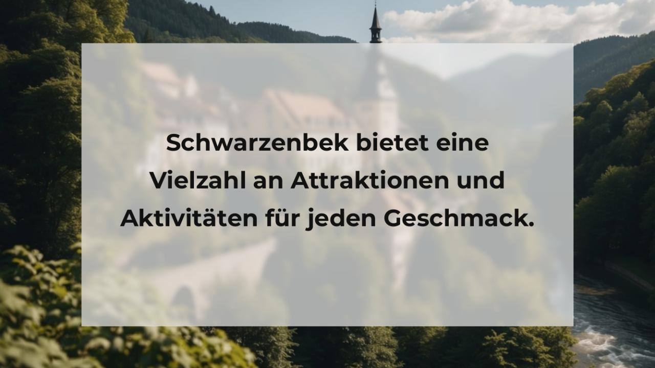 Schwarzenbek bietet eine Vielzahl an Attraktionen und Aktivitäten für jeden Geschmack.