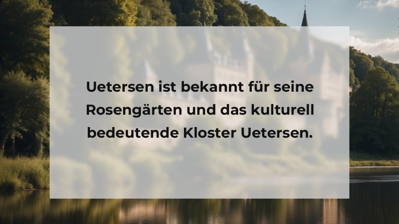 Uetersen ist bekannt für seine Rosengärten und das kulturell bedeutende Kloster Uetersen.