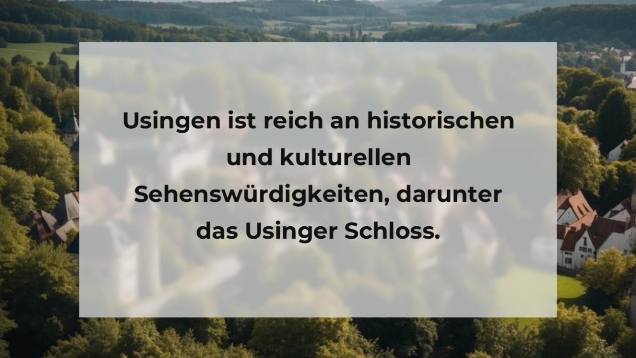 Usingen ist reich an historischen und kulturellen Sehenswürdigkeiten, darunter das Usinger Schloss.