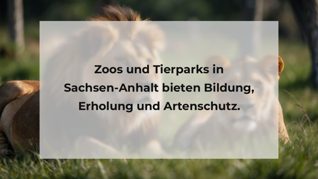 Zoos und Tierparks in Sachsen-Anhalt bieten Bildung, Erholung und Artenschutz.